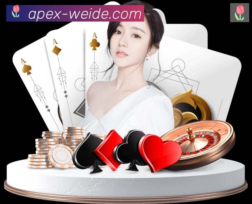 对战数据统计